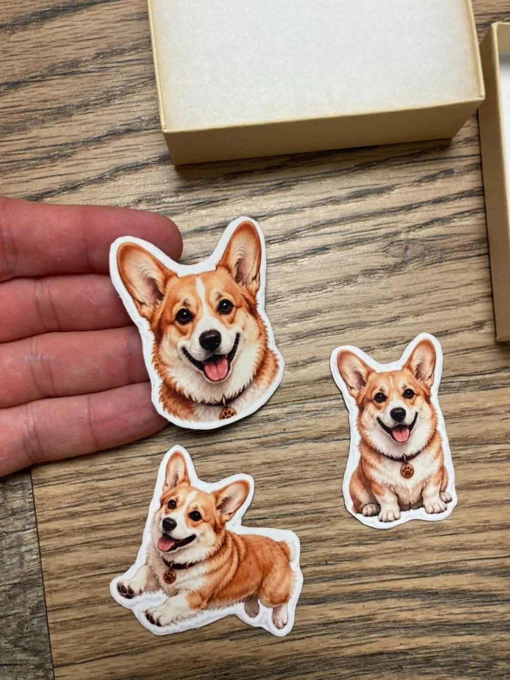 Thousand Walks these cute